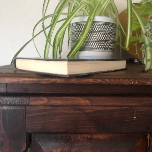 Dark Summer by Author Iris Johansen Hardcover Book Suspense Thriller. Pre owned‎ - Picture 2 of 3